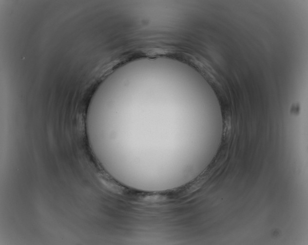 X0000093250426200709261601