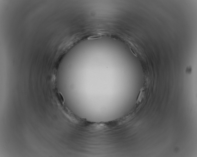 X0000093250427200709261601