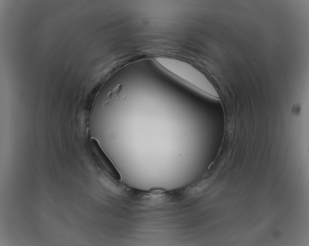 X0000093250428200709261601