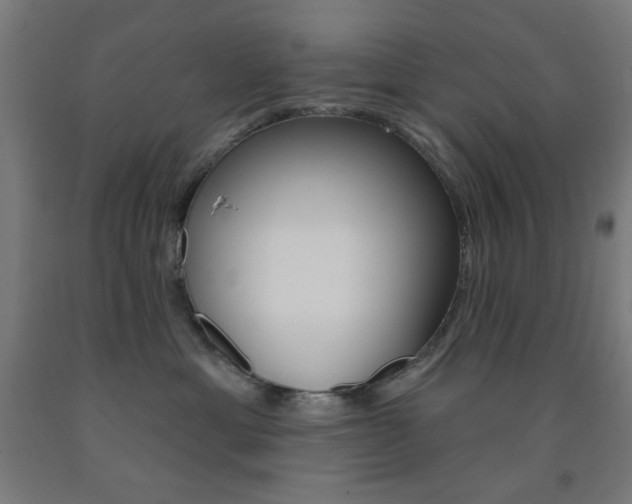 X0000093250429200709261601