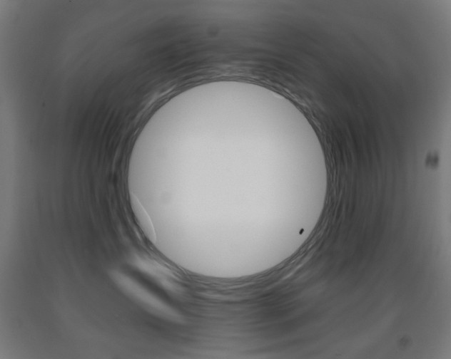 X0000093250431200709261601