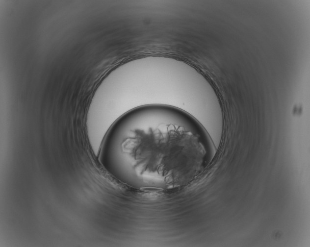 X0000093250432200709261601