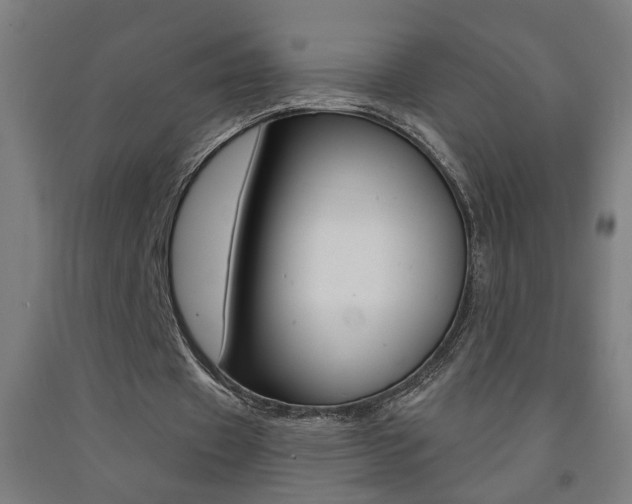 X0000093250433200709261600