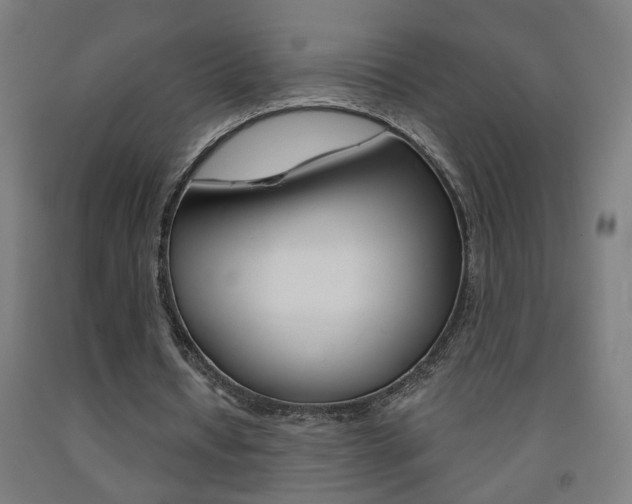 X0000093250434200709261600
