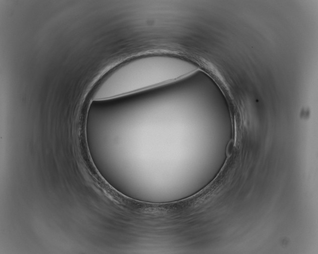 X0000093250435200709261600