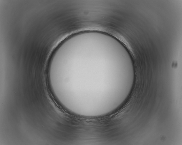 X0000093250436200709261600