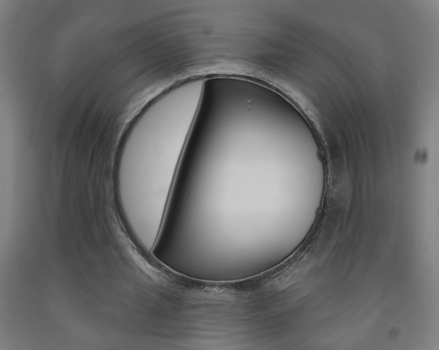 X0000093250437200709261600