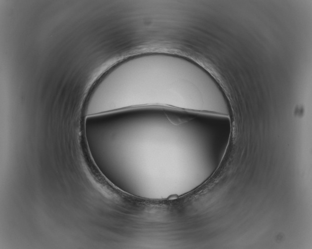 X0000093250438200709261600