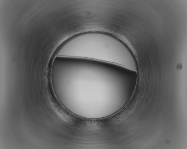 X0000093250439200709261600