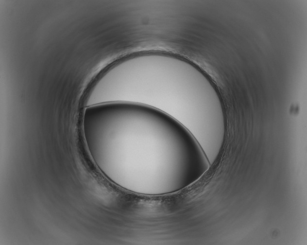 X0000093250440200709261600