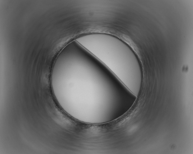 X0000093250441200709261600
