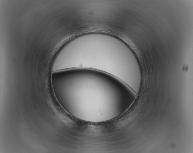 X0000093250442200709261600