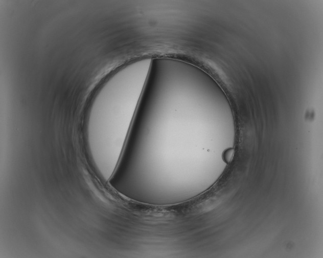 X0000093250443200709261600