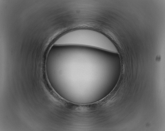 X0000093250444200709261600