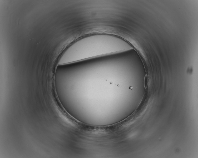 X0000093250445200709261600