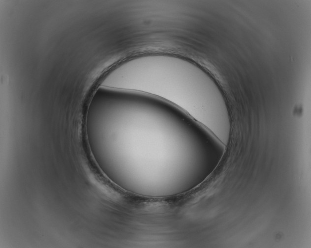 X0000093250446200709261600