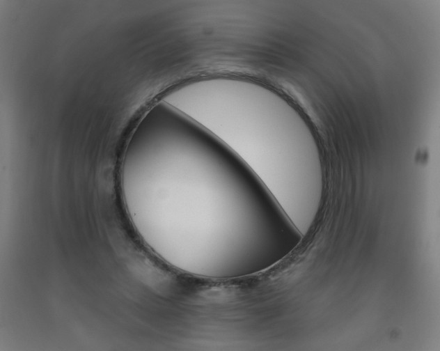 X0000093250447200709261600