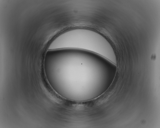 X0000093250448200709261600