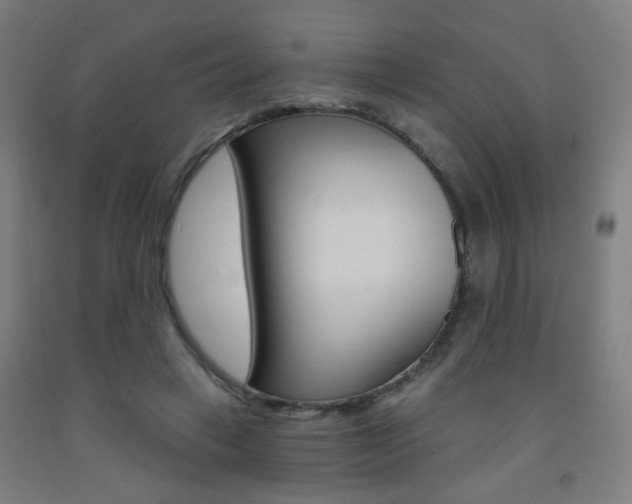 X0000093250449200709261600