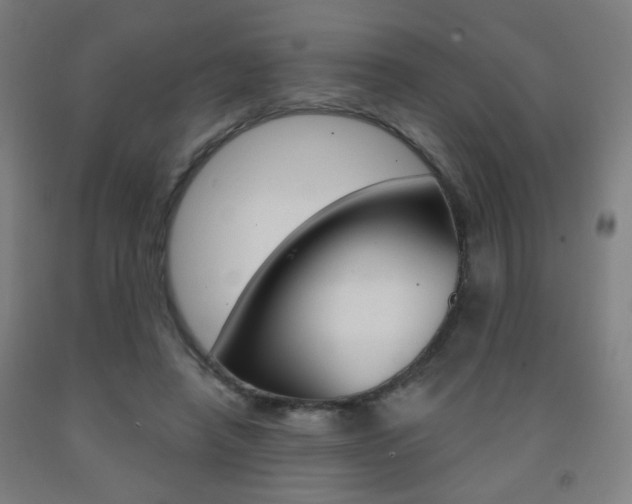 X0000093250450200709261600