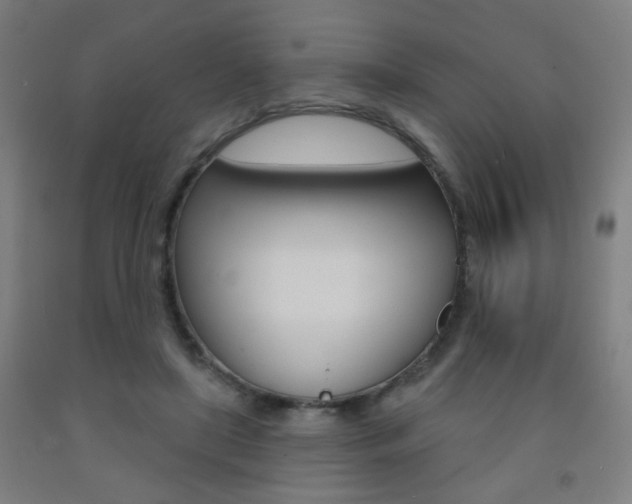 X0000093250451200709261600