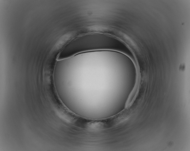 X0000093250452200709261600