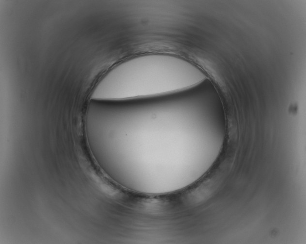 X0000093250453200709261600