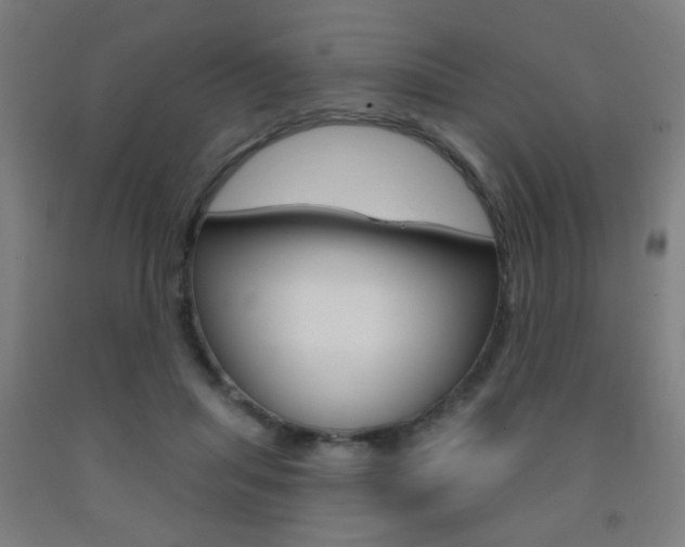X0000093250455200709261600