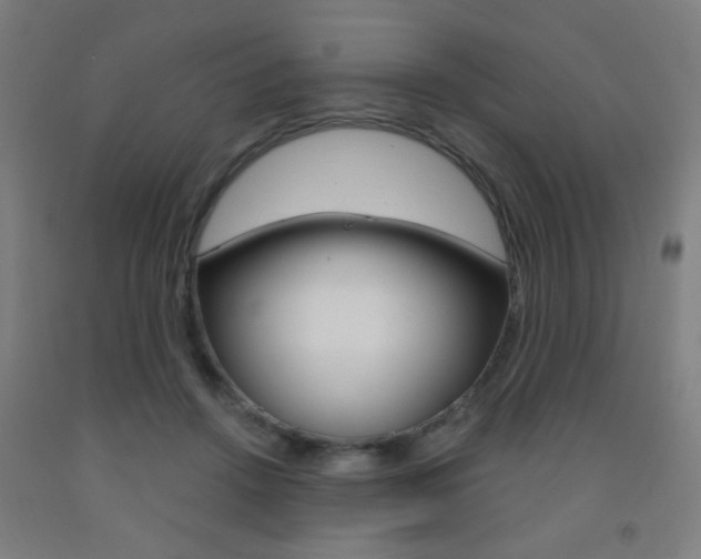 X0000093250456200709261601
