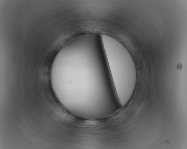 X0000093250457200709261601