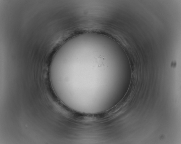 X0000093250458200709261601