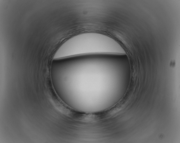 X0000093250459200709261601