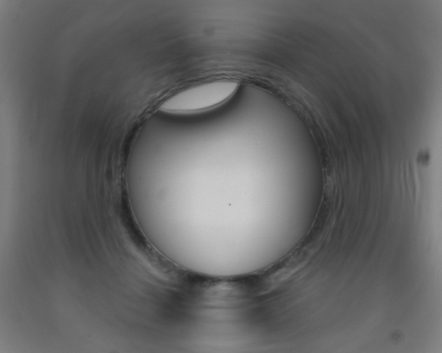 X0000093250460200709261601