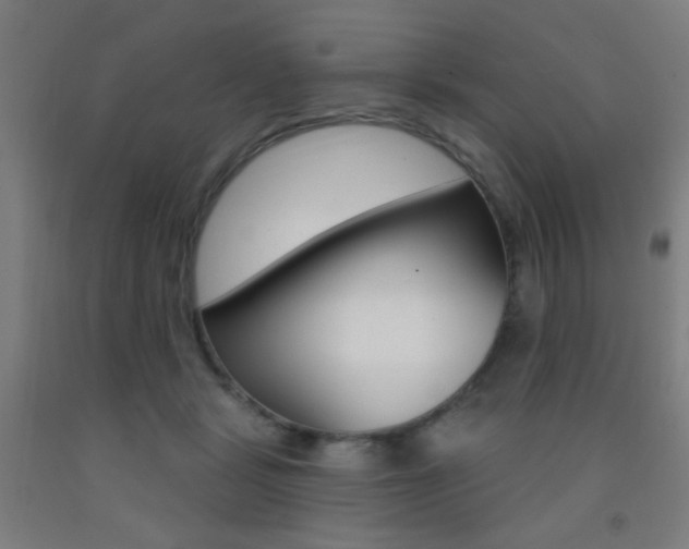 X0000093250461200709261601