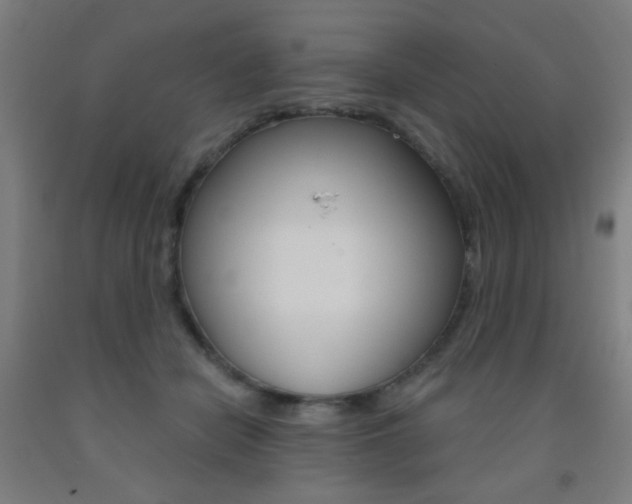 X0000093250462200709261601