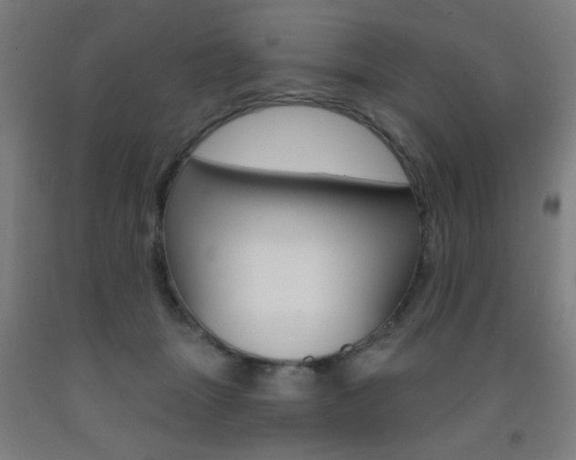 X0000093250463200709261601