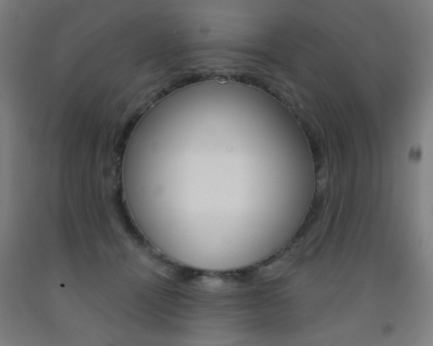 X0000093250464200709261601