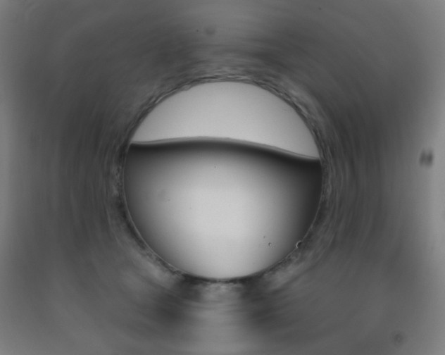 X0000093250465200709261601