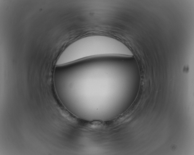 X0000093250466200709261601