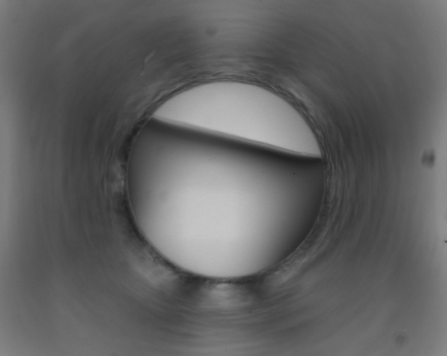 X0000093250467200709261601