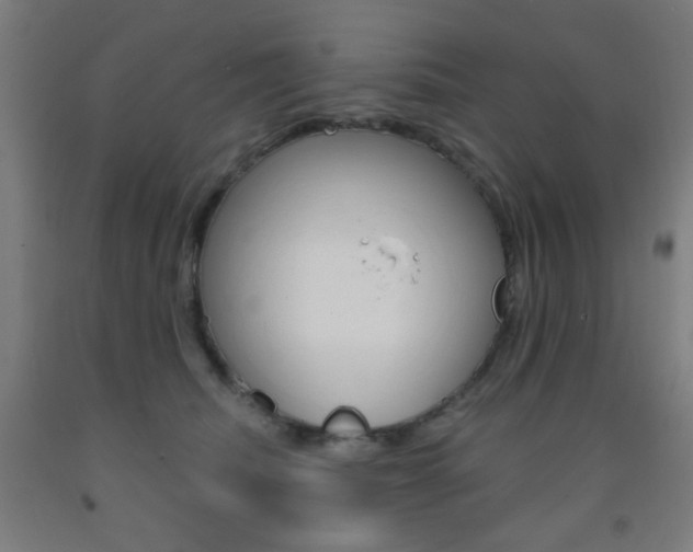 X0000093250468200709261601