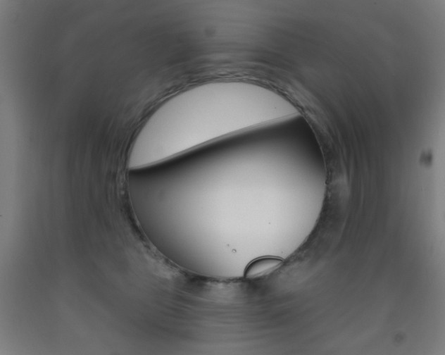 X0000093250469200709261601