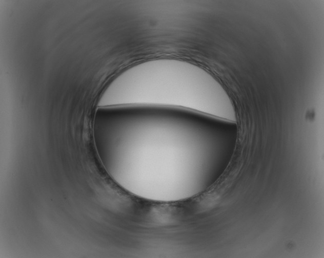 X0000093250470200709261601