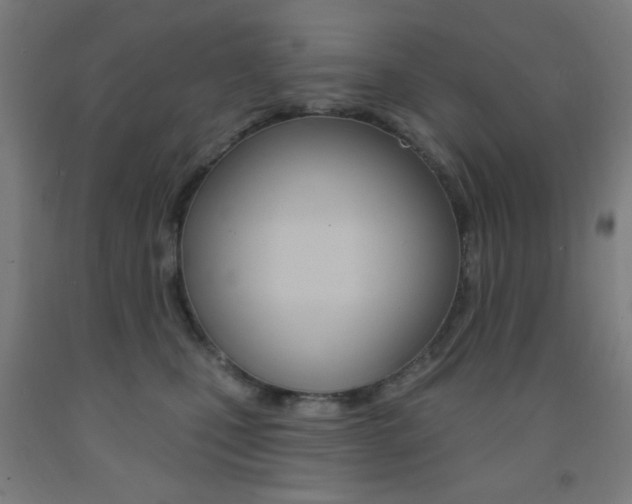 X0000093250471200709261601