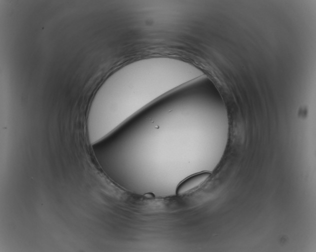 X0000093250473200709261601