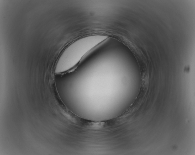 X0000093250474200709261601