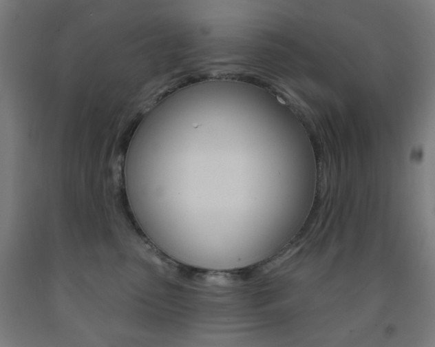 X0000093250475200709261601