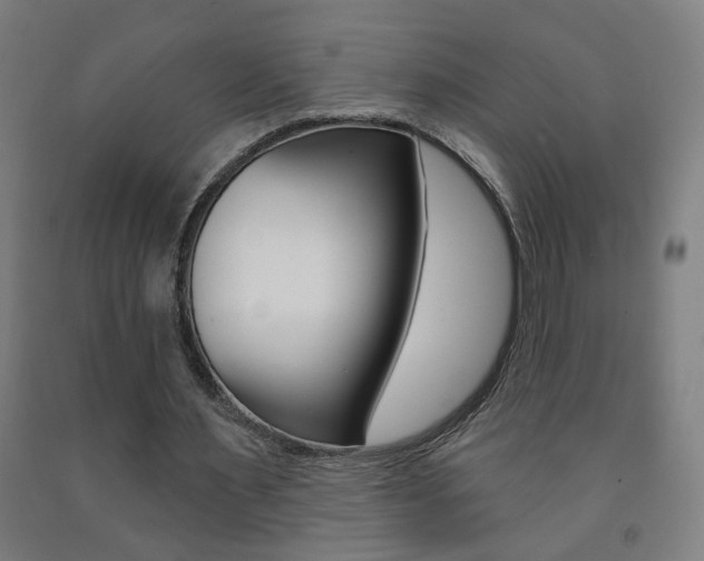 X0000093250483200709261600