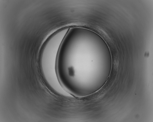 X0000093250484200709261600