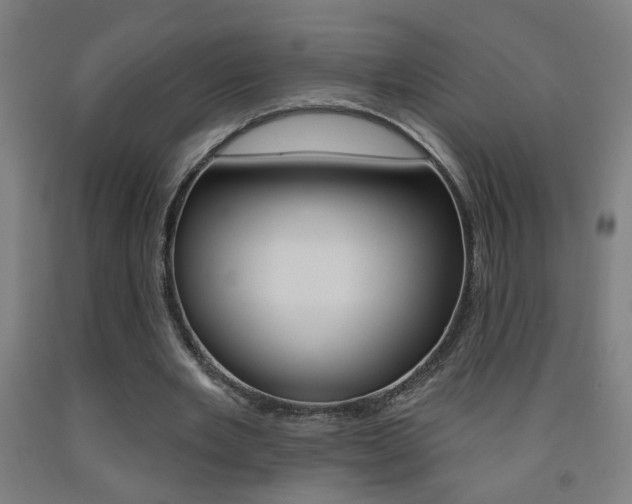 X0000093250485200709261600